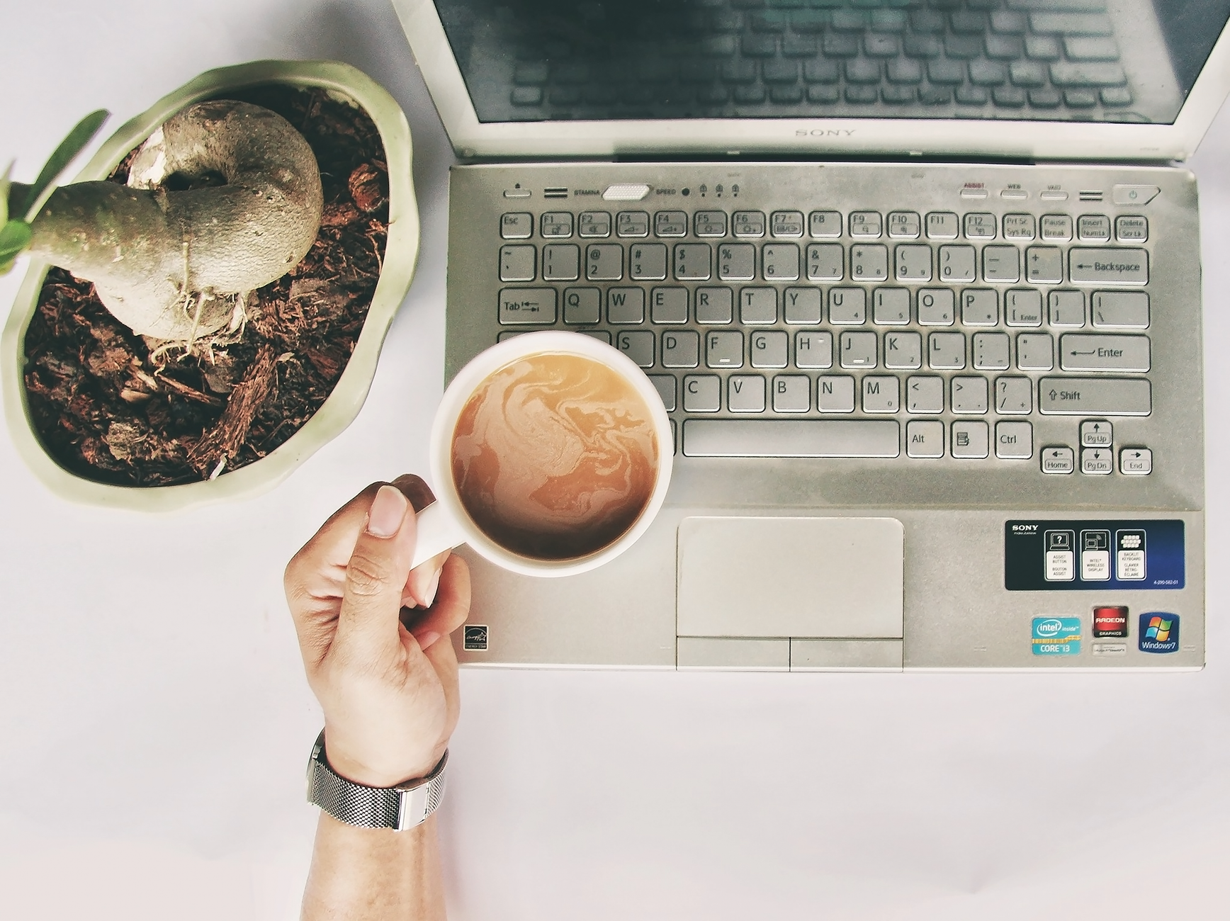 Espace de travail confortable avec ordinateur portable, tasse de café et plante d'intérieur.